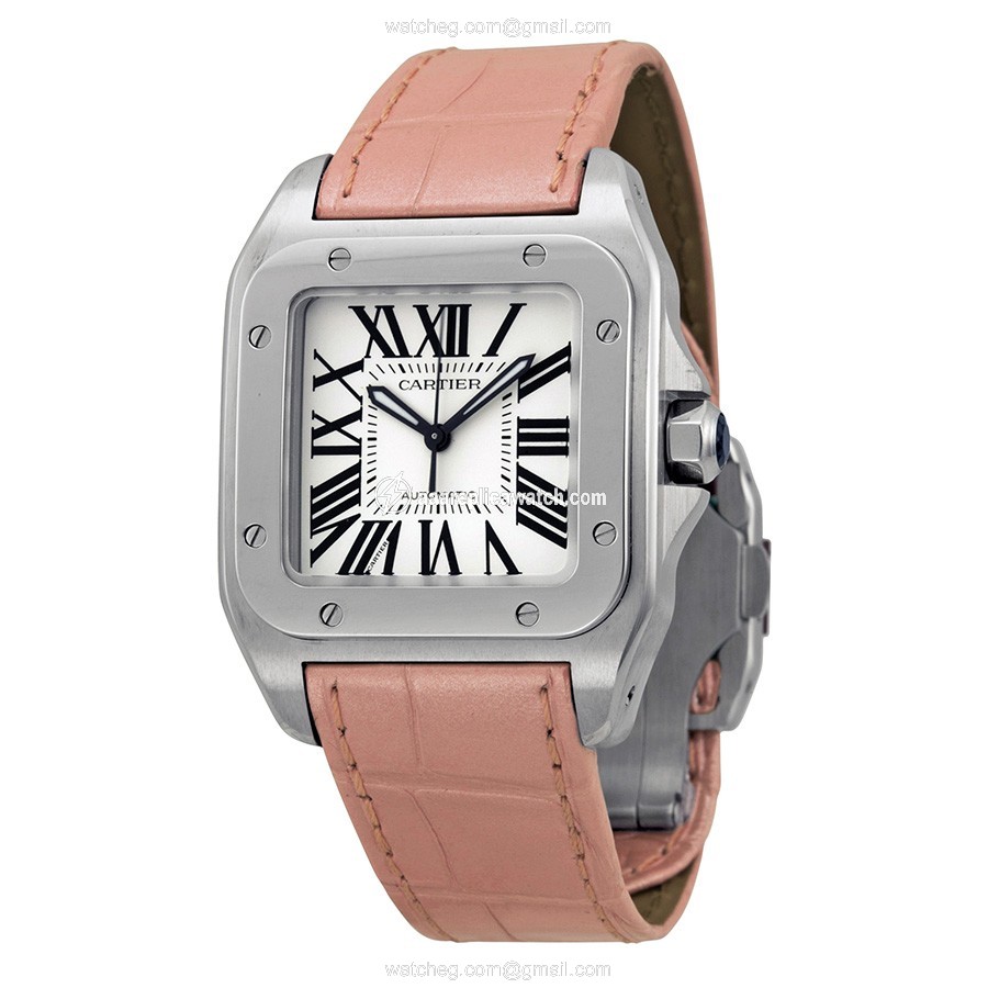 Cartier W20126X8 Santos de Cartier Unisex Automatic Stainless Steel watch Cartier W20126X8 Santos de Cartier Unisex Automatic Stainless Steel watch