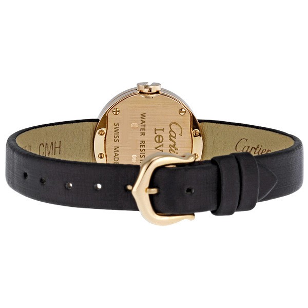 Cartier WE800531 Cartier