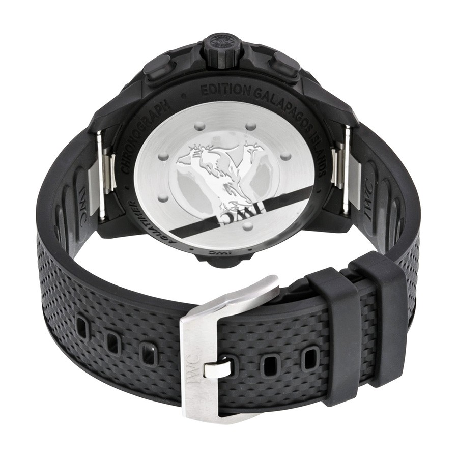 IWC IW379502 IWC