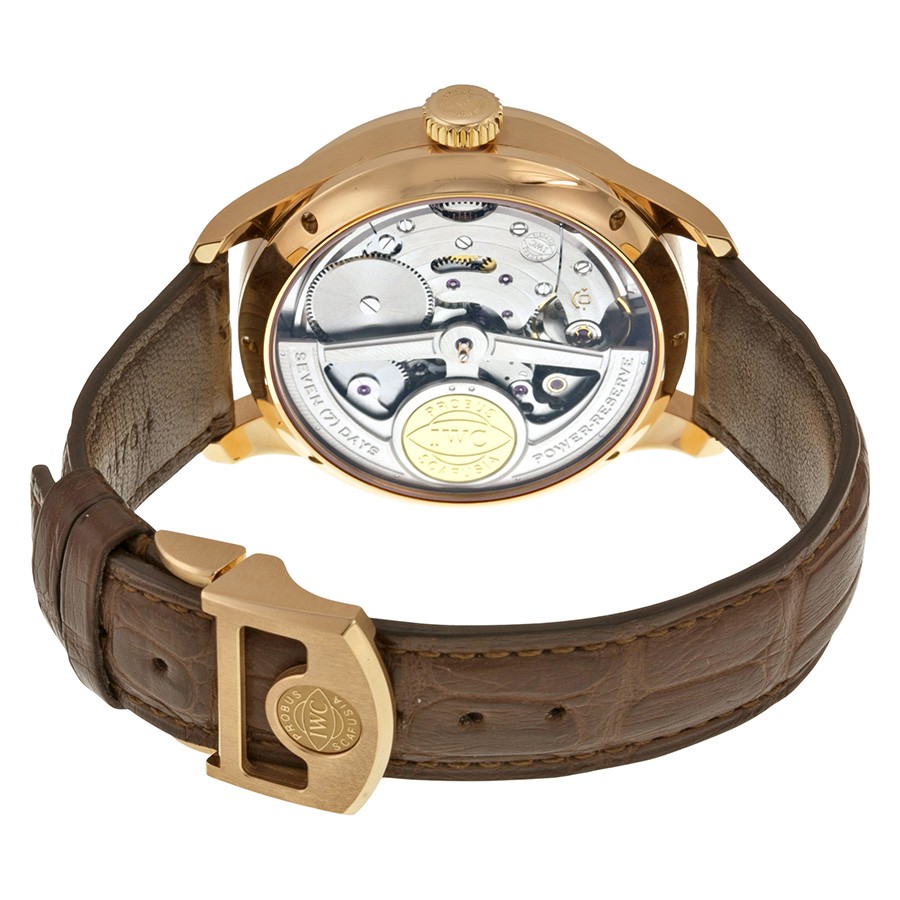 IWC IW502302 IWC