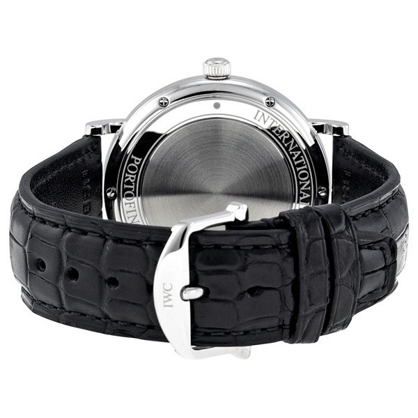 IWC IW356501 IWC