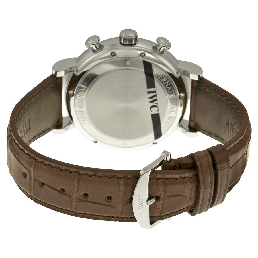 IWC IW391007 IWC