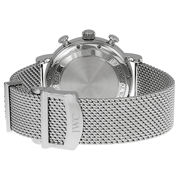 IWC IW391009 IWC