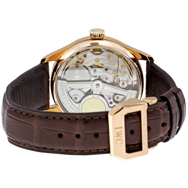 IWC IW500113 IWC