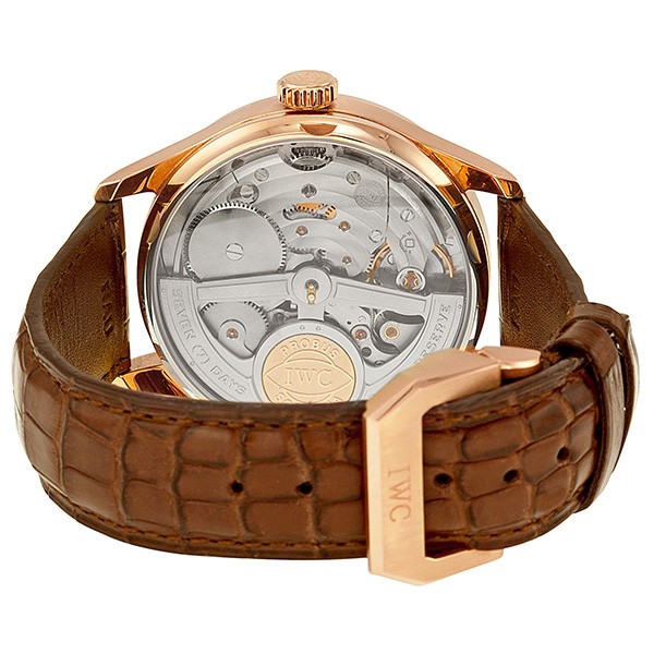 IWC IW502213 IWC
